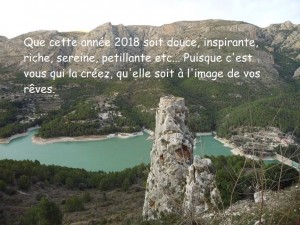 carte de voeux 2018
